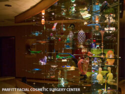 Art Display of Parfitt Surgical Center Art Display of Parfitt Surgical Center